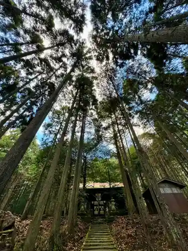 賀茂神社(京都府)