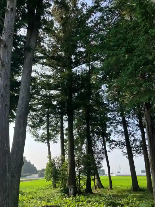 芳志戸の神社(栃木県)