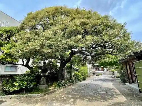 大円寺のその他建物