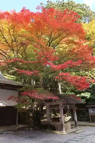 比叡山延暦寺(滋賀県)