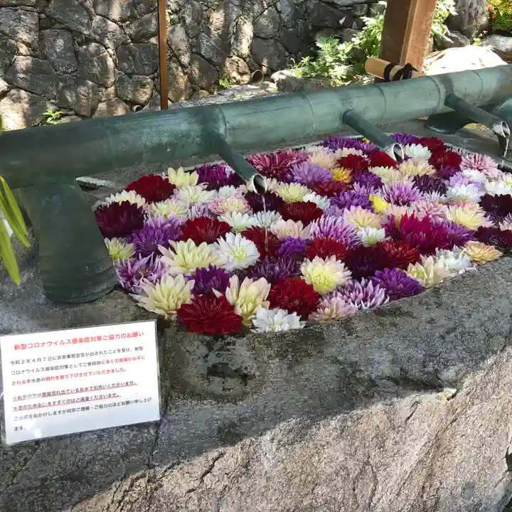 岡寺(龍蓋寺)の手水舎