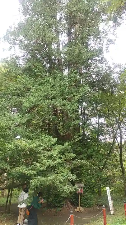 伊佐須美神社(福島県)