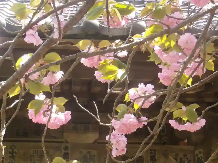 光触寺(神奈川県)