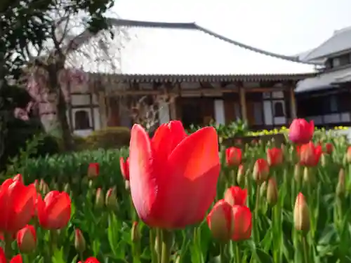 泉蔵寺の本殿・本堂