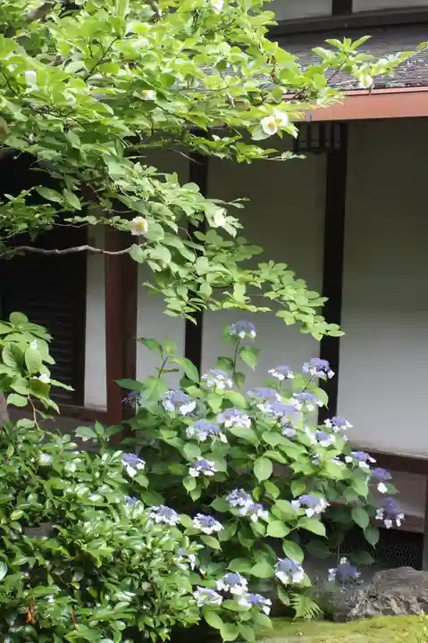観智院(東寺子院)(京都府)