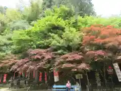 宝厳寺(滋賀県)