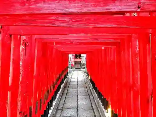 冨士神社の鳥居