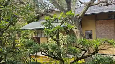 興臨院(京都府)