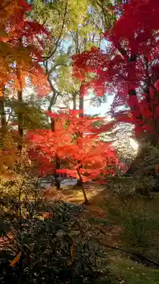 仁和寺(京都府)