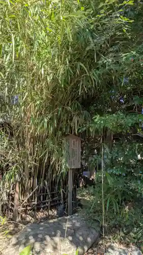 川越氷川神社(埼玉県)