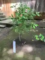 鉾宮神社(鶴嶺八幡宮境内社)(神奈川県)