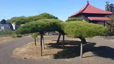 正福寺のその他建物