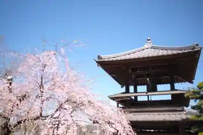 円光寺のその他建物