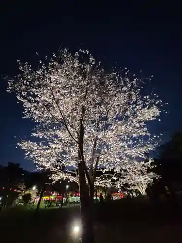 長谷寺(神奈川県)