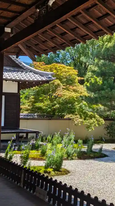 廬山寺(廬山天台講寺)(京都府)
