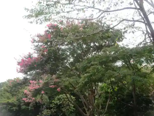 伝通院(東京都)