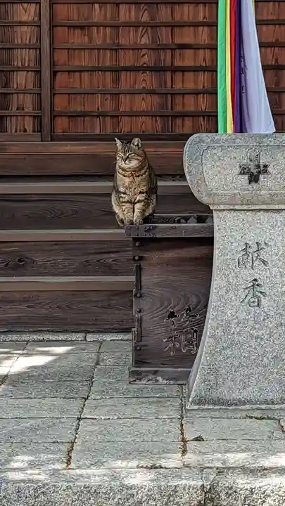 本満寺(本願満足寺)(京都府)