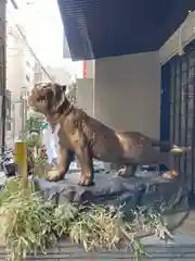 少彦名神社の狛犬