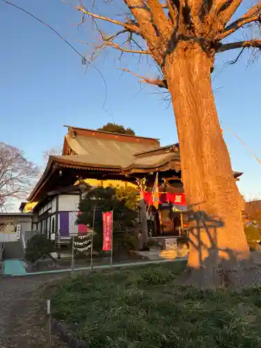 大洞院(千葉県)