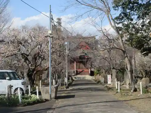 國分寺(茨城県)