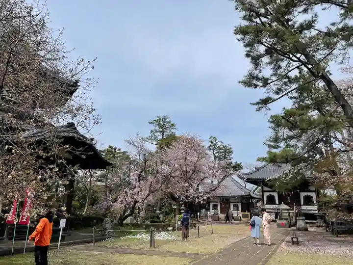 観音寺(世田谷山観音寺)(東京都)