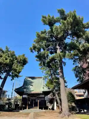 東伏見氷川神社(東京都)