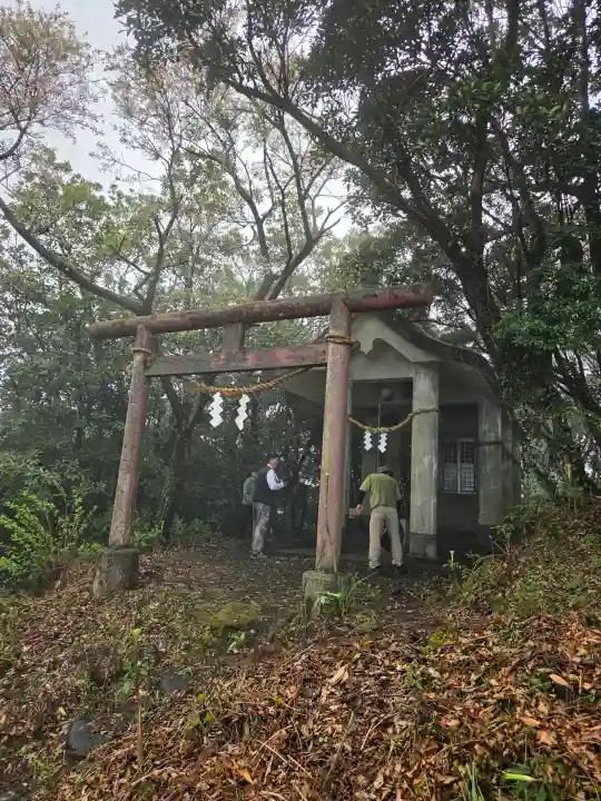 白山神社の{uncategorized: "未分類", other: "その他", undefined: "問題あり", building: "その他建物", grave: "お墓", sacred_gate: "鳥居", guardian: "狛犬", statue: "像", buddha: "仏像", history: "歴史", nature: "自然", garden: "庭園", animal: "動物", pagoda: "塔", temizu: "手水舎", mountain_gate: "山門・神門", sanctuary: "本殿・本堂", subordinate: "末社・摂社", art: "芸術", scenery: "景色", jizo: "地蔵", ema: "絵馬", goshuin: "御朱印", omikuji: "おみくじ", items: "授与品その他", amulet: "お守り", goshuincho: "御朱印帳", eats: "食事", festival: "お祭り", votive_dance: "神楽", shichigosan: "七五三参", wedding: "結婚式", experience: "体験その他", initially: "初詣", around: "周辺", anti_infection: "感染症対策"}