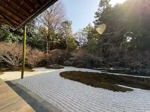西来院の{uncategorized: "未分類", other: "その他", undefined: "問題あり", building: "その他建物", grave: "お墓", sacred_gate: "鳥居", guardian: "狛犬", statue: "像", buddha: "仏像", history: "歴史", nature: "自然", garden: "庭園", animal: "動物", pagoda: "塔", temizu: "手水舎", mountain_gate: "山門・神門", sanctuary: "本殿・本堂", subordinate: "末社・摂社", art: "芸術", scenery: "景色", jizo: "地蔵", ema: "絵馬", goshuin: "御朱印", omikuji: "おみくじ", items: "授与品その他", amulet: "お守り", goshuincho: "御朱印帳", eats: "食事", festival: "お祭り", votive_dance: "神楽", shichigosan: "七五三参", wedding: "結婚式", experience: "体験その他", initially: "初詣", around: "周辺", anti_infection: "感染症対策"}