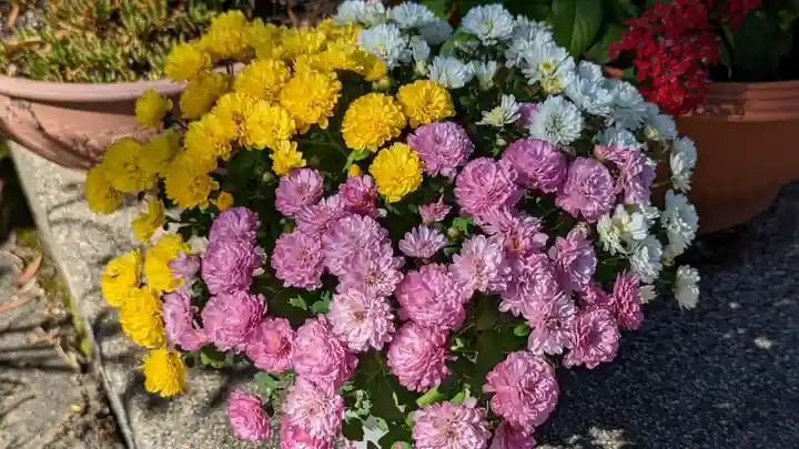 佛光院(仏光院)(京都府)