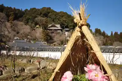 長谷寺(奈良県)