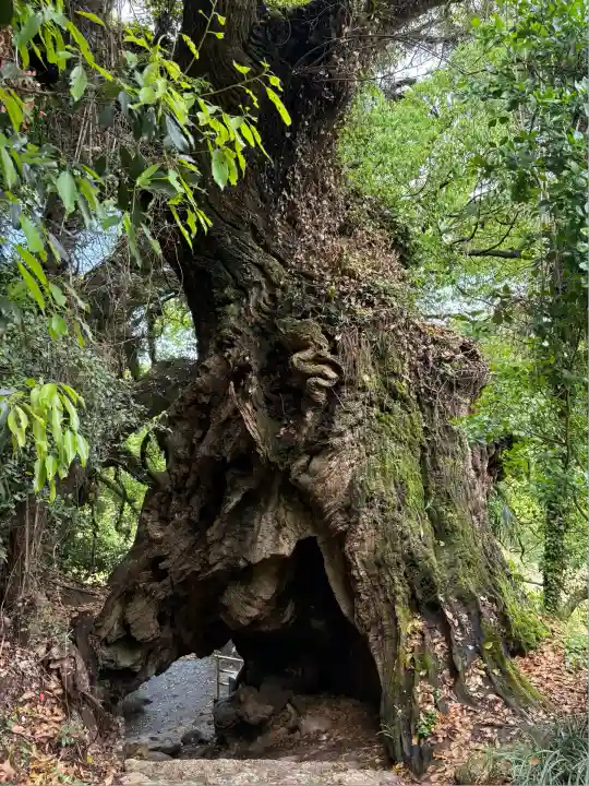 大山祇神社奥の院 生樹の御門(愛媛県)