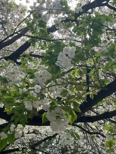 ときわ台天祖神社(東京都)