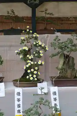 高麗神社のその他建物