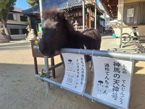 天神社(大阪府)