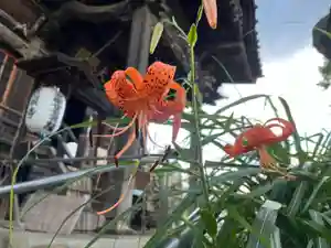 秩父札所十三番 慈眼寺(埼玉県)(2022年07月30日(土) 16時05分29秒投稿)