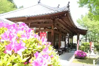 理智院の本殿・本堂