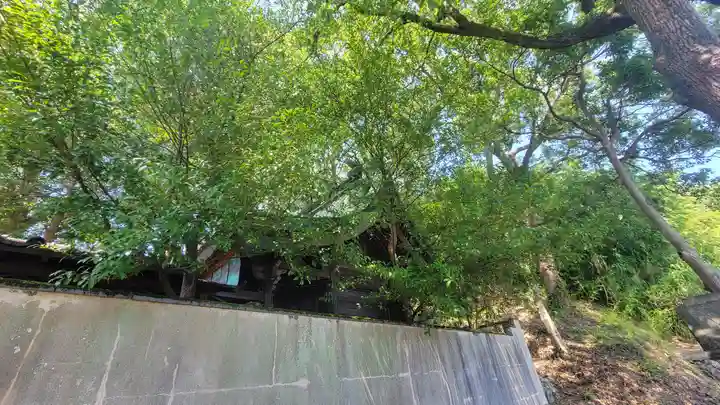 厳島神社(愛媛県)