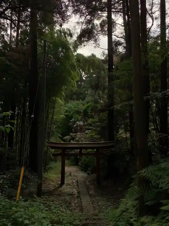 熊野大神(千葉県)