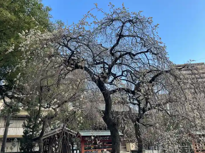 川口神社(埼玉県)