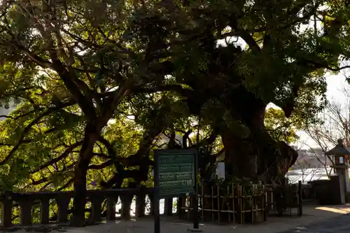 與止日女神社(佐賀県)