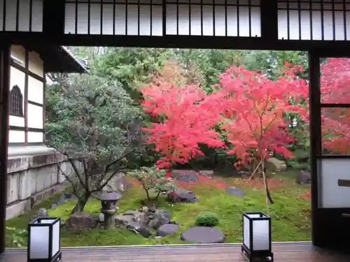 勝林寺の庭園