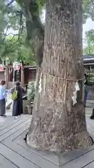 晴明神社(京都府)