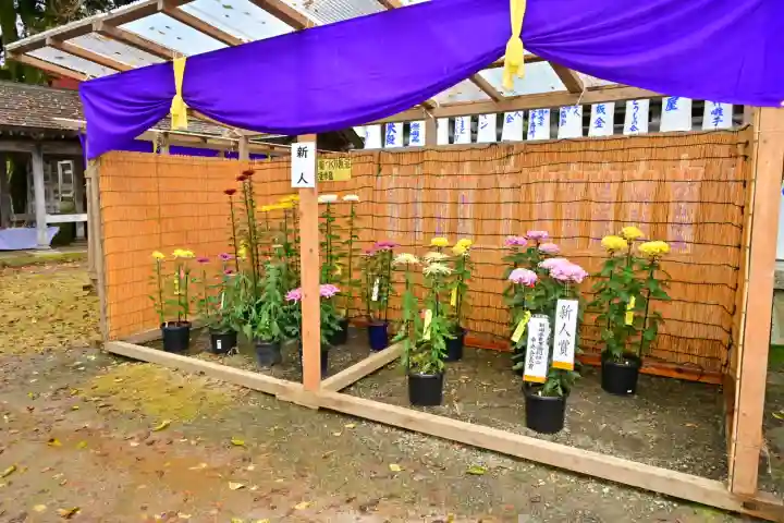 普光寺(新潟県)