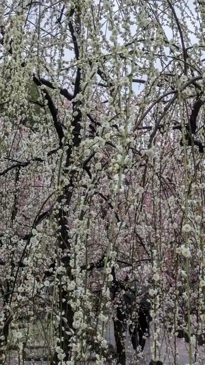 城南宮(京都府)