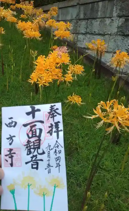 横浜 西方寺の御朱印