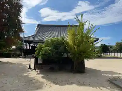 本願寺西山別院(京都府)
