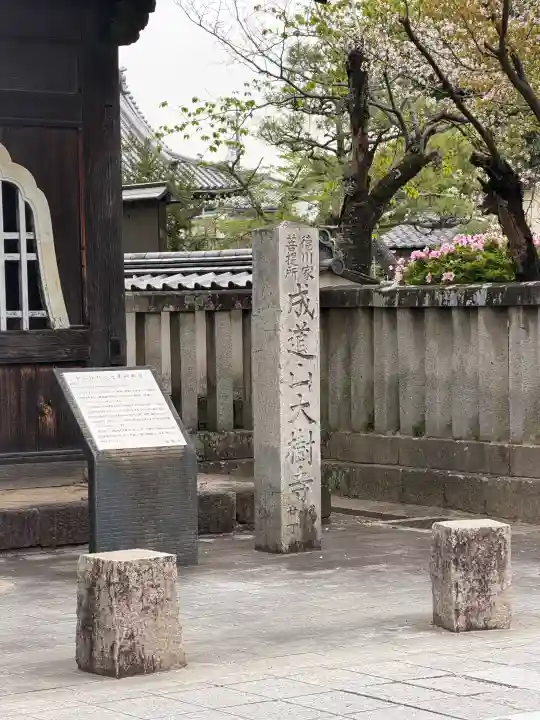 大樹寺(松安院大樹寺)の{uncategorized: "未分類", other: "その他", undefined: "問題あり", building: "その他建物", grave: "お墓", sacred_gate: "鳥居", guardian: "狛犬", statue: "像", buddha: "仏像", history: "歴史", nature: "自然", garden: "庭園", animal: "動物", pagoda: "塔", temizu: "手水舎", mountain_gate: "山門・神門", sanctuary: "本殿・本堂", subordinate: "末社・摂社", art: "芸術", scenery: "景色", jizo: "地蔵", ema: "絵馬", goshuin: "御朱印", omikuji: "おみくじ", items: "授与品その他", amulet: "お守り", goshuincho: "御朱印帳", eats: "食事", festival: "お祭り", votive_dance: "神楽", shichigosan: "七五三参", wedding: "結婚式", experience: "体験その他", initially: "初詣", around: "周辺", anti_infection: "感染症対策"}