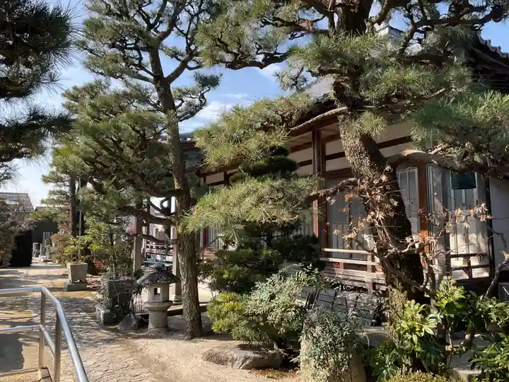 道入寺(京都府)