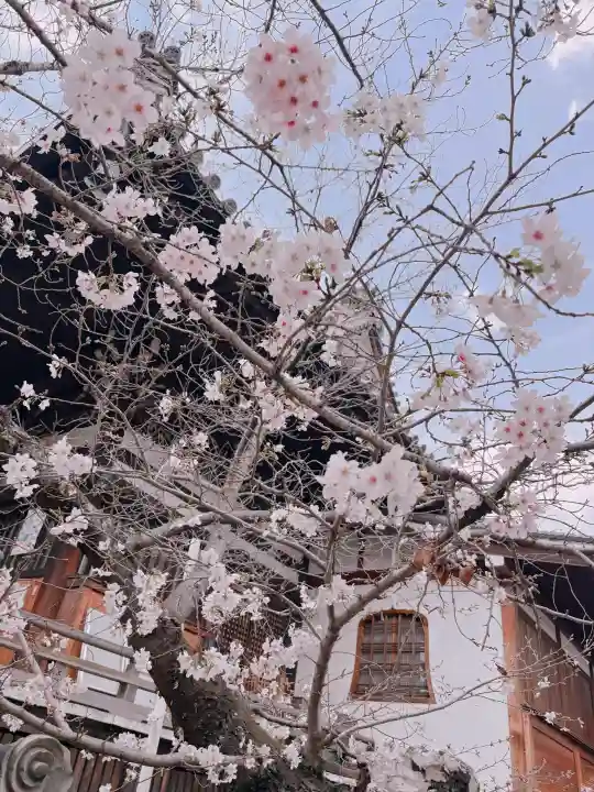 葛井寺の{uncategorized: "未分類", other: "その他", undefined: "問題あり", building: "その他建物", grave: "お墓", sacred_gate: "鳥居", guardian: "狛犬", statue: "像", buddha: "仏像", history: "歴史", nature: "自然", garden: "庭園", animal: "動物", pagoda: "塔", temizu: "手水舎", mountain_gate: "山門・神門", sanctuary: "本殿・本堂", subordinate: "末社・摂社", art: "芸術", scenery: "景色", jizo: "地蔵", ema: "絵馬", goshuin: "御朱印", omikuji: "おみくじ", items: "授与品その他", amulet: "お守り", goshuincho: "御朱印帳", eats: "食事", festival: "お祭り", votive_dance: "神楽", shichigosan: "七五三参", wedding: "結婚式", experience: "体験その他", initially: "初詣", around: "周辺", anti_infection: "感染症対策"}
