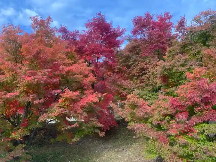 桂谷寺(兵庫県)